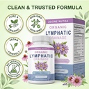 lymphatic-drainage-capsules-bloating-wat-5.jpg