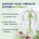 lymphatic-drainage-capsules-bloating-wat-2.jpg