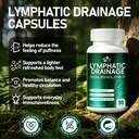 90-count-lymphatic-cleanse-capsules-for--2.jpg