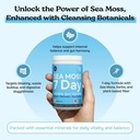atlantic-naturals-sea-moss-powder-15000m-2.jpg