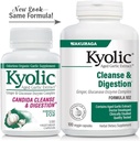 kyolic-aged-garlic-extract-formula-102-c-4.jpg