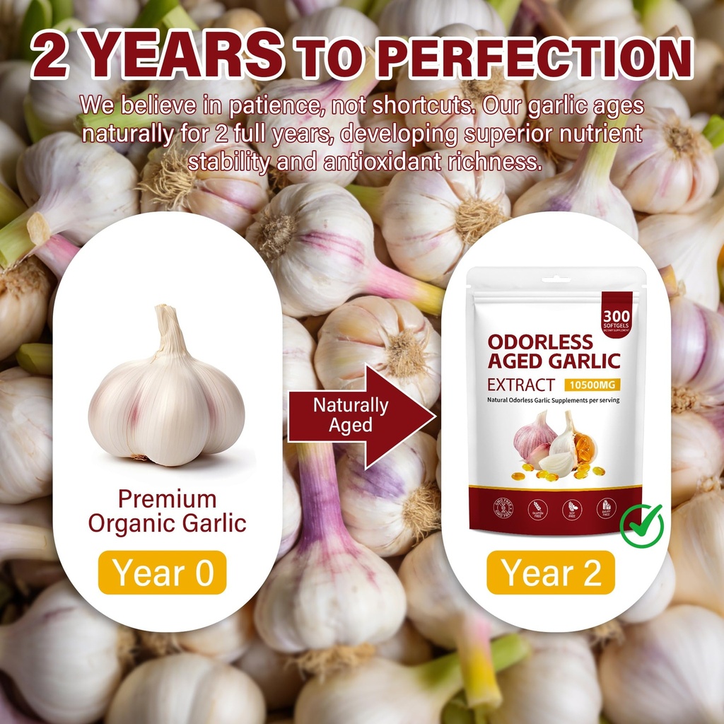 aged-garlic-extract-capsules-300-softgel-2.jpg