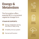 solgar-vitamin-b2-riboflavin-100mg-100-v-4.jpg