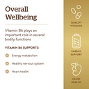 solgar-vitamin-b6-25-mg-100-tablets-supp-4.jpg
