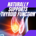 no-stim-non-stimulant-fat-burner-diet-pi-5.jpg