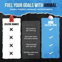 animal-creatine-chews-tablets-enhanced-c-4.jpg