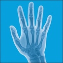 lindberg-joint-support-supplement-for-me-4.jpg