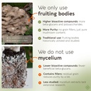 longevity-botanicals-organic-maitake-mus-3.jpg