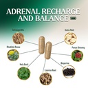 nature-s-nutrition-adrenal-support-suppl-3.jpg