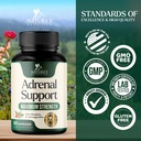 nature-s-nutrition-adrenal-support-suppl-4.jpg