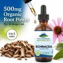 pure-mountain-botanicals-echinacea-drops-3.jpg