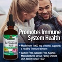 ature-s-answer-echinacea-extract-support-4.jpg