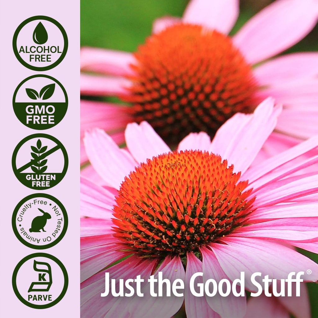 ature-s-answer-echinacea-extract-support-5.jpg