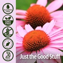 ature-s-answer-echinacea-extract-support-5.jpg
