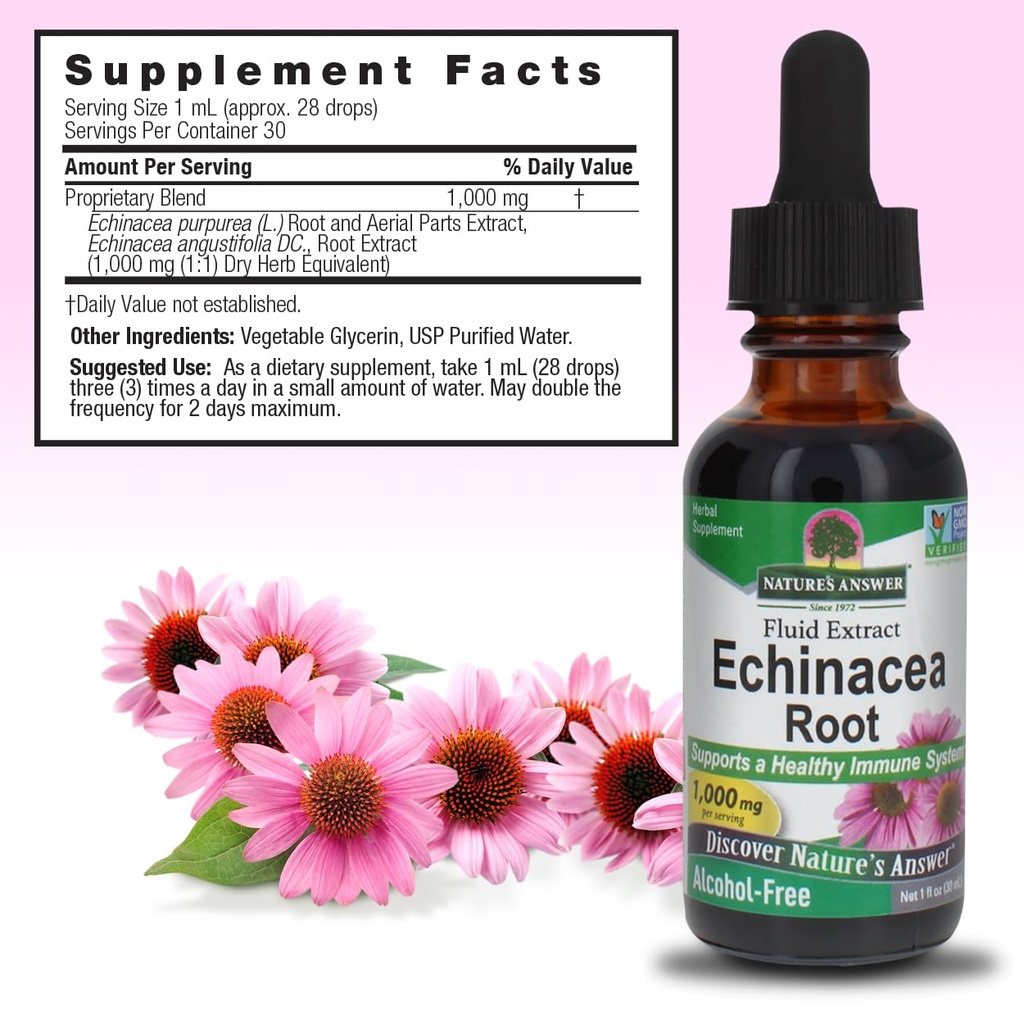 nature-s-answer-echinacea-supports-a-hea-3.jpg