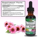 nature-s-answer-echinacea-supports-a-hea-3.jpg