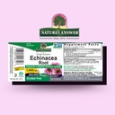 nature-s-answer-echinacea-supports-a-hea-2.jpg