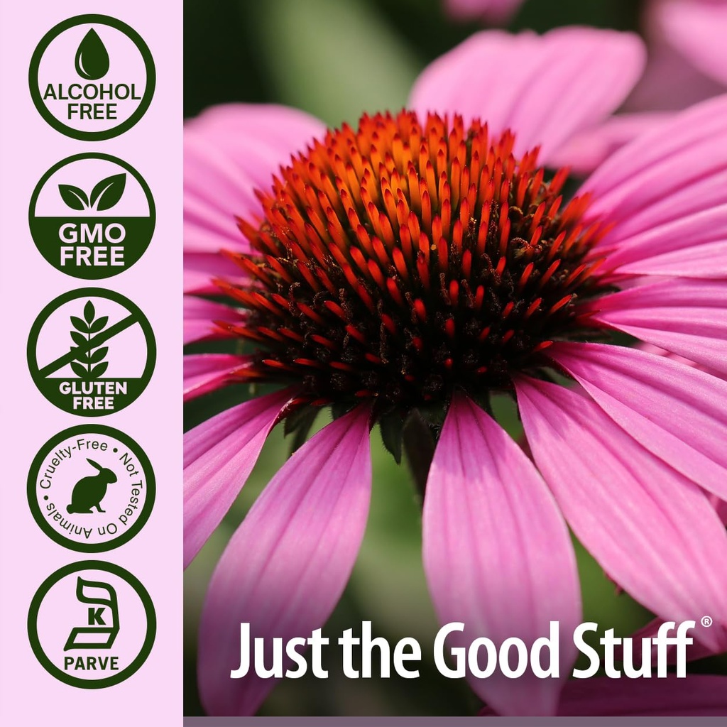 nature-s-answer-echinacea-supports-a-hea-5.jpg