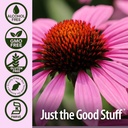 nature-s-answer-echinacea-supports-a-hea-5.jpg