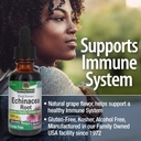nature-s-answer-echinacea-supports-a-hea-4.jpg
