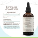 herbera-echinacea-angustifolia-b120-alco-3.jpg