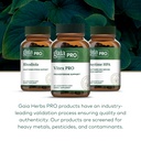 gaia-herbs-pro-vitex-pro-supplement-supp-6.jpg