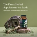 gaia-herbs-vitex-berry-vitex-traditional-2.jpg