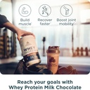 ancient-nutrition-grass-fed-whey-protein-4.jpg