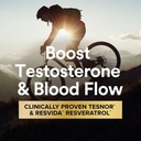 gnc-mega-men-healthy-testosterone-progra-3.jpg