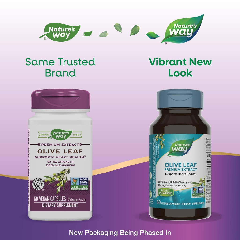 nature-s-way-olive-leaf-premium-extract--2.jpg