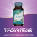 nature-s-way-olive-leaf-premium-extract--4.jpg