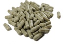 vitalit-now-super-strength-best-olive-le-6.jpg