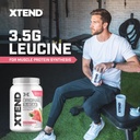 xtend-original-bcaa-powder-7g-bcaas-and--3.jpg