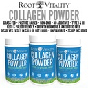 root-vitality-collagen-peptides-powder-g-3.jpg