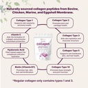micro-ingredients-multi-collagen-protein-4.jpg