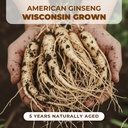 hlx-2-boxes-of-5-year-american-ginseng-s-4.jpg