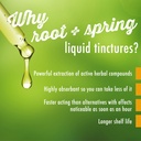 ginseng-longan-gui-pi-tang-gui-pi-wan-he-6.jpg