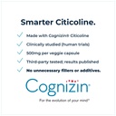 cognizin-citicoline-500mg-capsules-cdp-c-2.jpg
