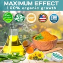 neviss-2-pack-organic-h-mp-balm-10000-mg-4.jpg