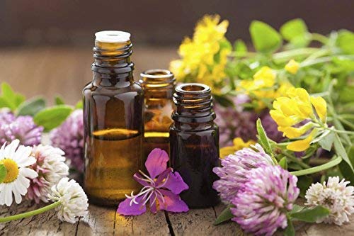 cedar-bear-thyro-boost-a-liquid-herbal-s-6.jpg