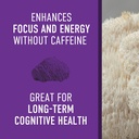 organic-lions-mane-mushroom-supplement---3.jpg