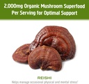 om-mushroom-superfood-reishi-organic-mus-4.jpg