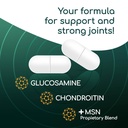 x-ray-high-potency-joint-health-suppleme-4.jpg