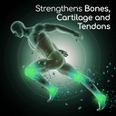 x-ray-high-potency-joint-health-suppleme-5.jpg