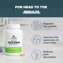 ancient-nutrition-vegetarian-collagen-pe-4.jpg