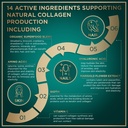 wild-fuel-vegan-collagen-builder-biotin--5.jpg