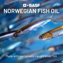 rtg-omega-3-norwegian-fish-oil-with-coq1-6.jpg