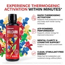innosupps-volcarn-2000-l-carnitine-advan-4.jpg