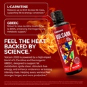 innosupps-volcarn-2000-l-carnitine-advan-5.jpg