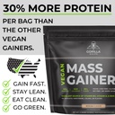 gorilla-gulps-mocha-vegan-mass-gainer-5--2.jpg